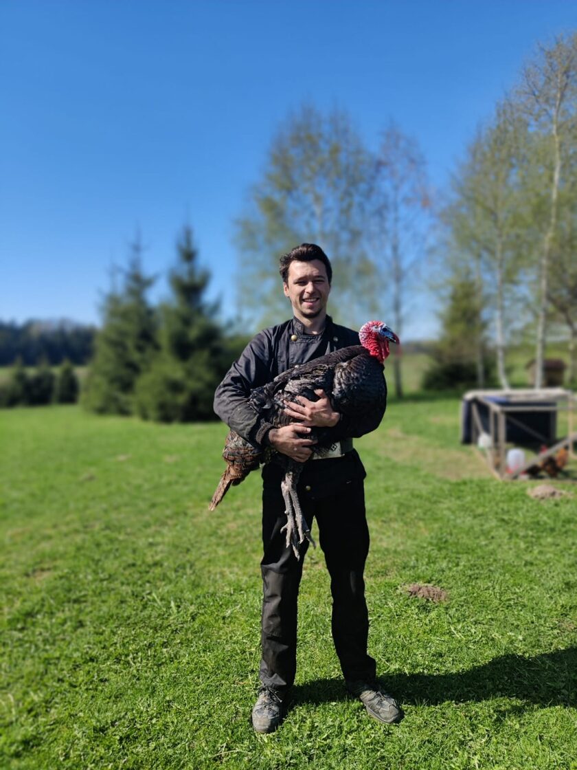 Slideshow sample text